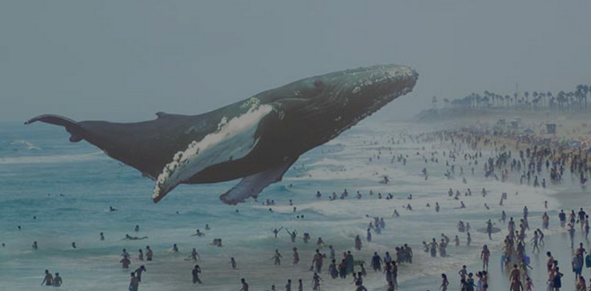 magicleap